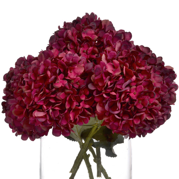 Autumn Ruby Hydrangea - Canwell Interiors Limited - Hills