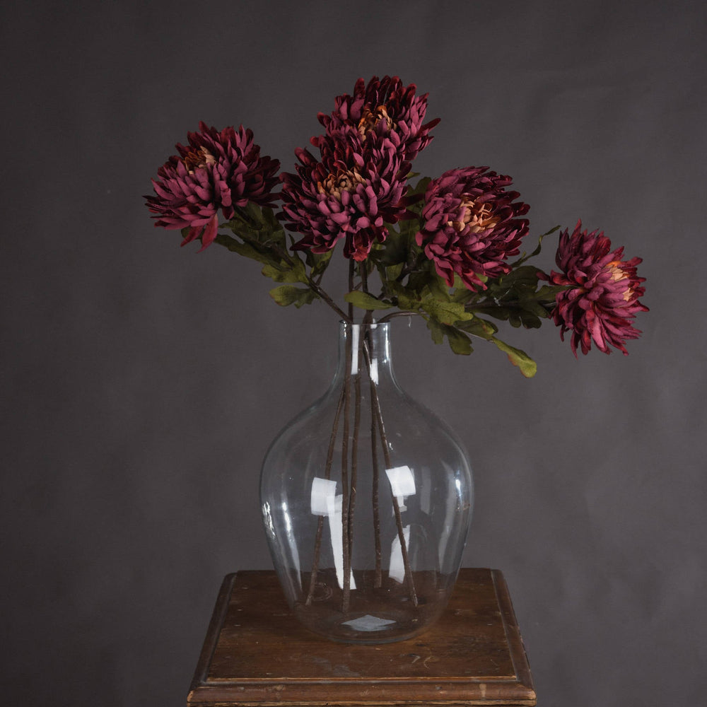 Autumn Spider Chrysanthemum - Canwell Interiors Limited - Hills