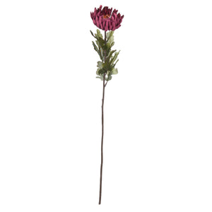 Autumn Spider Chrysanthemum - Canwell Interiors Limited - Hills