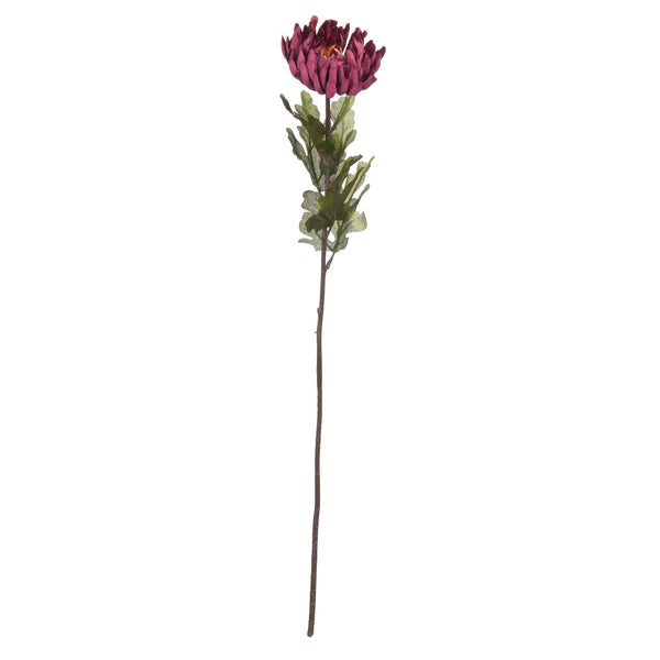 Autumn Spider Chrysanthemum - Canwell Interiors Limited - Hills