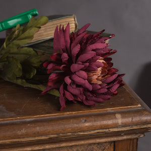 Autumn Spider Chrysanthemum - Canwell Interiors Limited - Hills