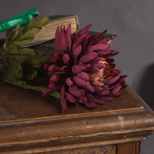 Autumn Spider Chrysanthemum - Canwell Interiors Limited - Hills