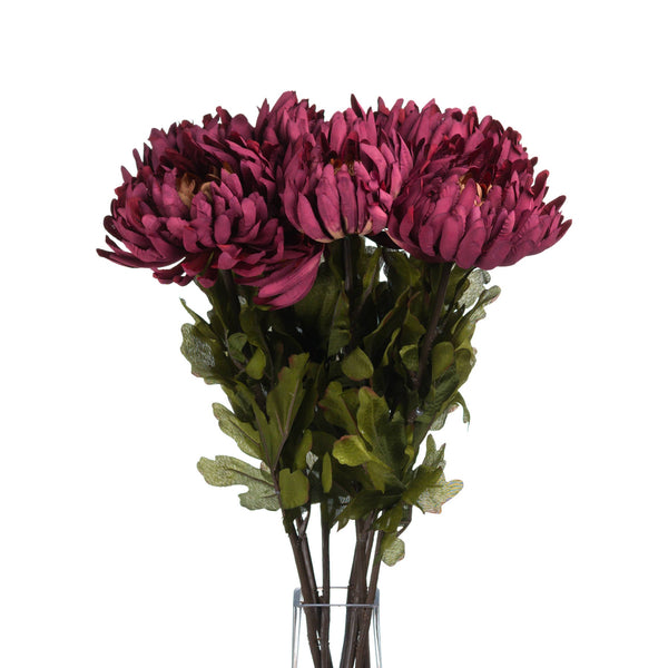 Autumn Spider Chrysanthemum - Canwell Interiors Limited - Hills
