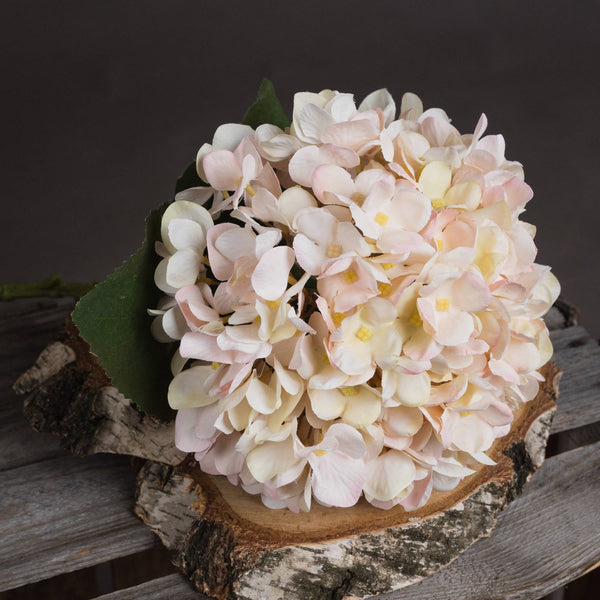 Autumn White Hydrangea - Canwell Interiors Limited - Hills