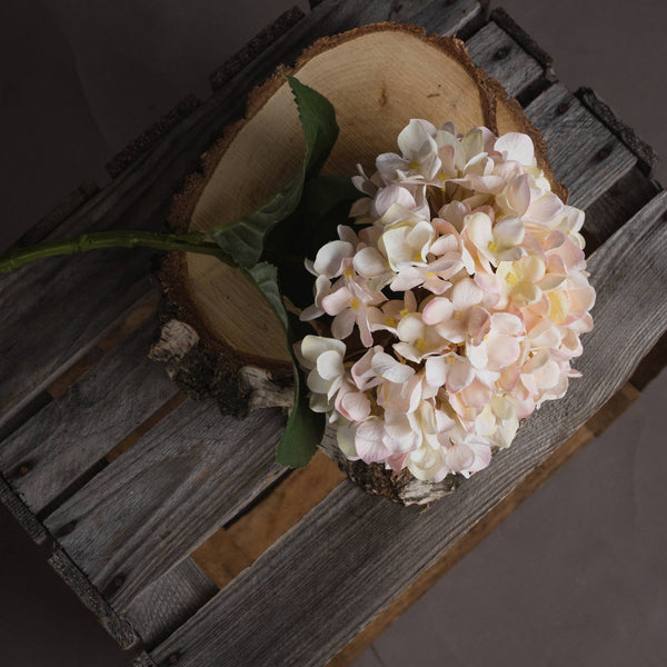Autumn White Hydrangea - Canwell Interiors Limited - Hills