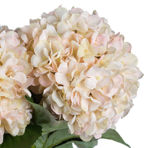 Autumn White Hydrangea - Canwell Interiors Limited - Hills