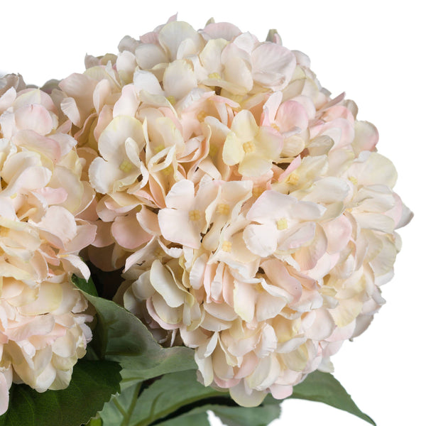 Autumn White Hydrangea - Canwell Interiors Limited - Hills