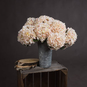 Autumn White Hydrangea - Canwell Interiors Limited - Hills