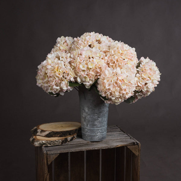Autumn White Hydrangea - Canwell Interiors Limited - Hills