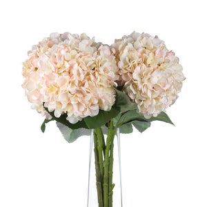 Autumn White Hydrangea - Canwell Interiors Limited - Hills