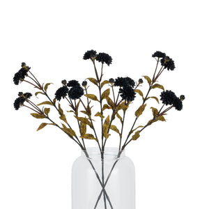 Black Chrysanthemum - Canwell Interiors Limited - Hills