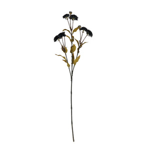 Black Chrysanthemum - Canwell Interiors Limited - Hills