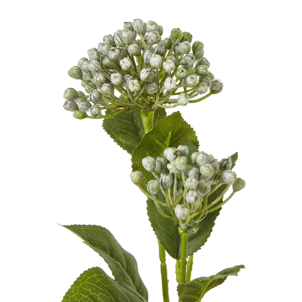 Blue Budding Hydrangea Spray - Canwell Interiors Limited - Hills