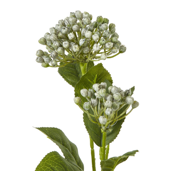 Blue Budding Hydrangea Spray - Canwell Interiors Limited - Hills
