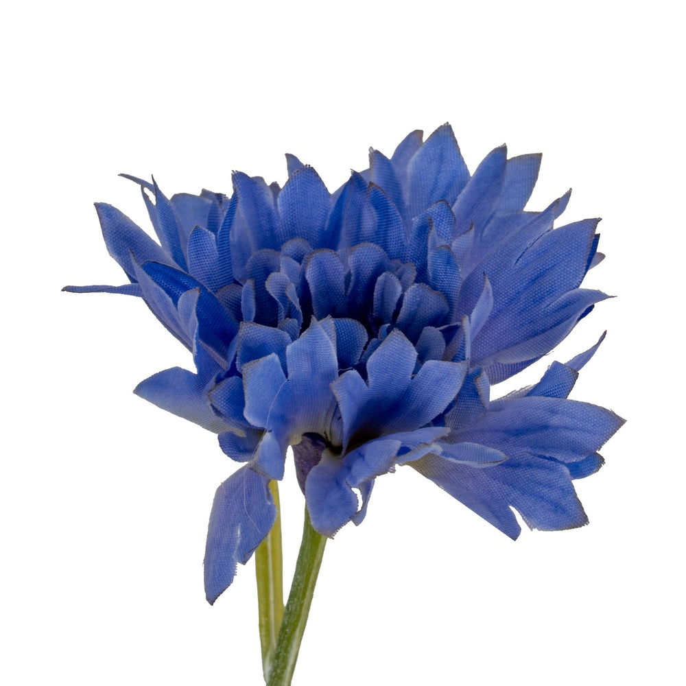 Blue Cornflower Stem - Canwell Interiors Limited - Hills