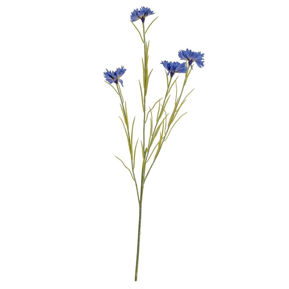 Blue Cornflower Stem - Canwell Interiors Limited - Hills