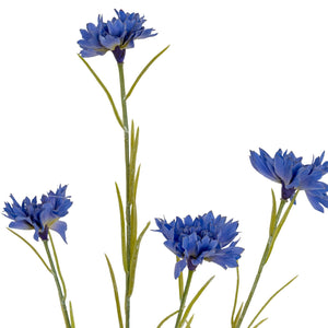 Blue Cornflower Stem - Canwell Interiors Limited - Hills