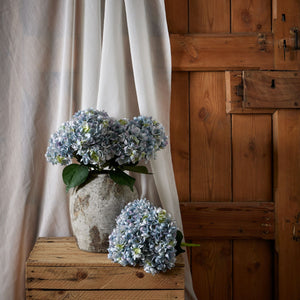 Blue Hydrangea Bunch - Canwell Interiors Limited - Hills