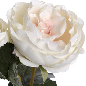Blush Garden Rose - Canwell Interiors Limited - Hills