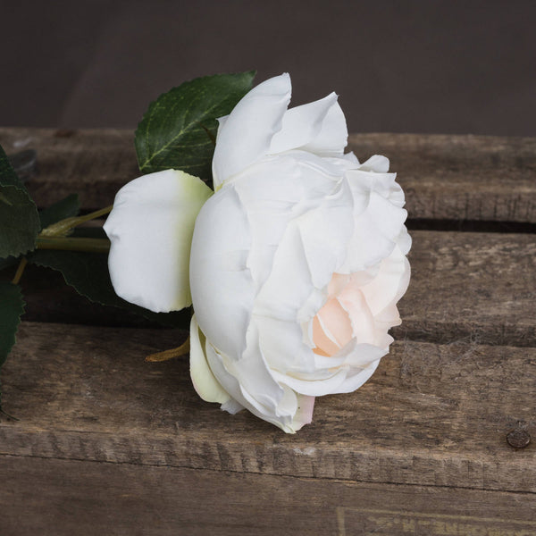Blush Garden Rose - Canwell Interiors Limited - Hills
