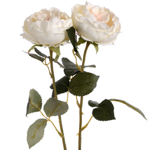 Blush Garden Rose - Canwell Interiors Limited - Hills