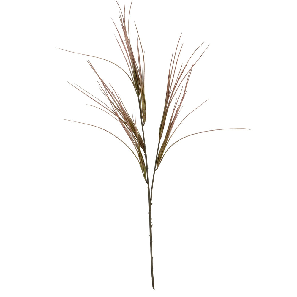 Brome Grass Spray - Canwell Interiors Limited - Hills