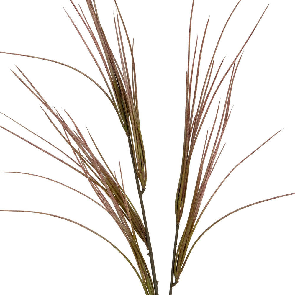 Brome Grass Spray - Canwell Interiors Limited - Hills