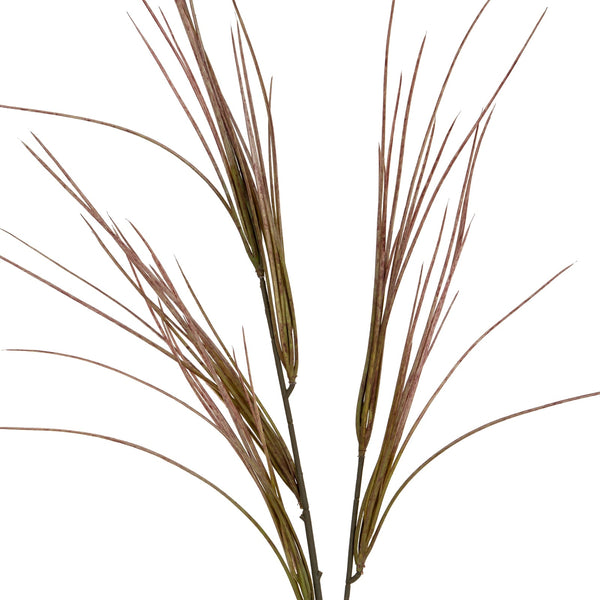 Brome Grass Spray - Canwell Interiors Limited - Hills