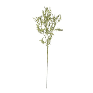 Broom Stem - Canwell Interiors Limited - Hills
