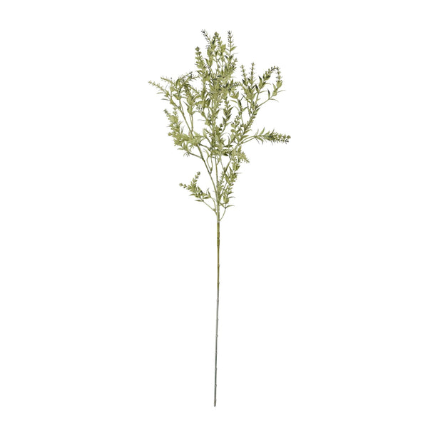 Broom Stem - Canwell Interiors Limited - Hills