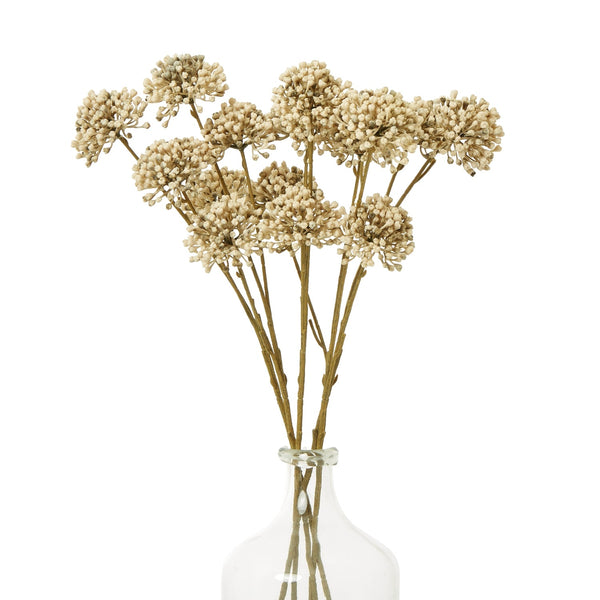 Brown Allium Spray - Canwell Interiors Limited - Hills