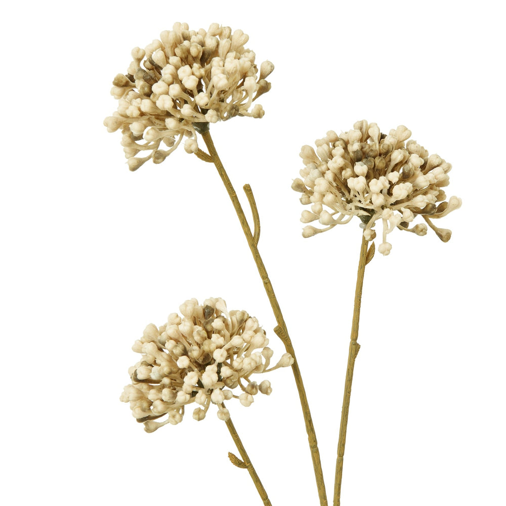 Brown Allium Spray - Canwell Interiors Limited - Hills