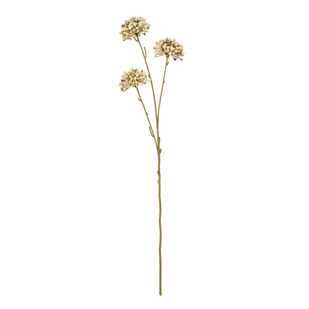 Brown Allium Spray - Canwell Interiors Limited - Hills
