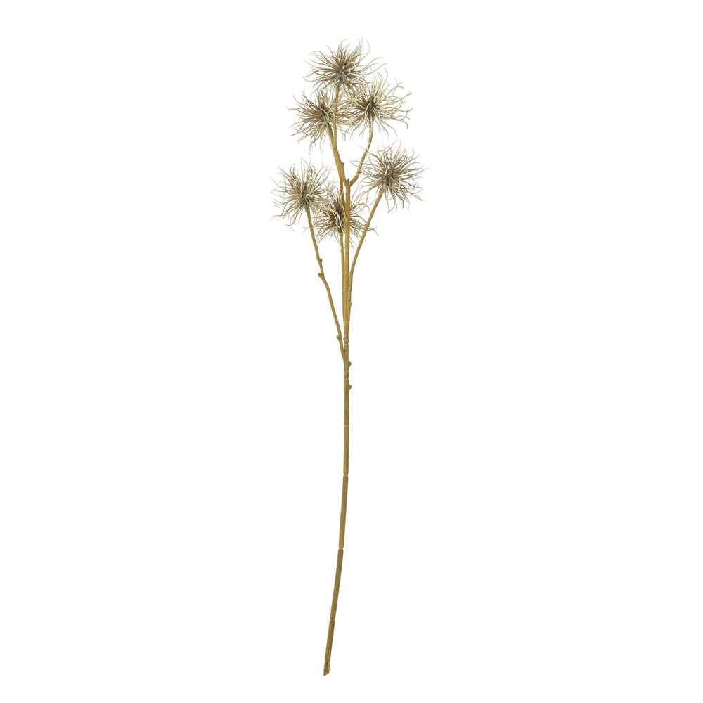 Brown Xanthium Spray - Canwell Interiors Limited - Hills