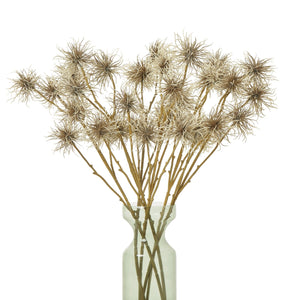 Brown Xanthium Spray - Canwell Interiors Limited - Hills