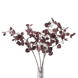Burgundy Berried Eucalyptus - Canwell Interiors Limited - Hills