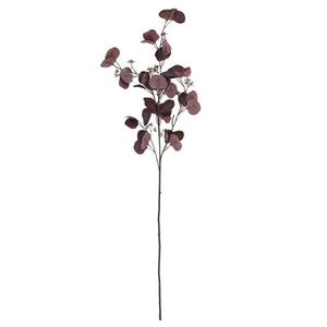 Burgundy Berried Eucalyptus - Canwell Interiors Limited - Hills