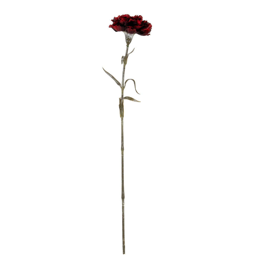 Burgundy Carnation Stem - Canwell Interiors Limited - Hills