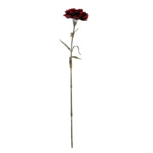 Burgundy Carnation Stem - Canwell Interiors Limited - Hills