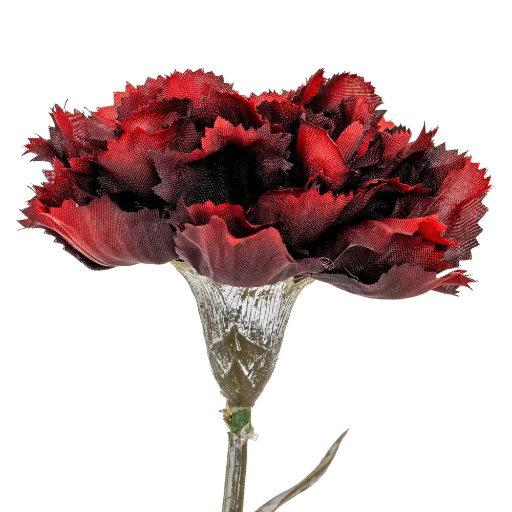 Burgundy Carnation Stem - Canwell Interiors Limited - Hills