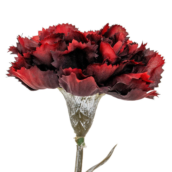 Burgundy Carnation Stem - Canwell Interiors Limited - Hills