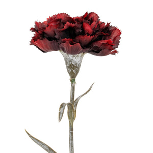 Burgundy Carnation Stem - Canwell Interiors Limited - Hills