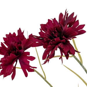 Burgundy Cornflower Stem - Canwell Interiors Limited - Hills