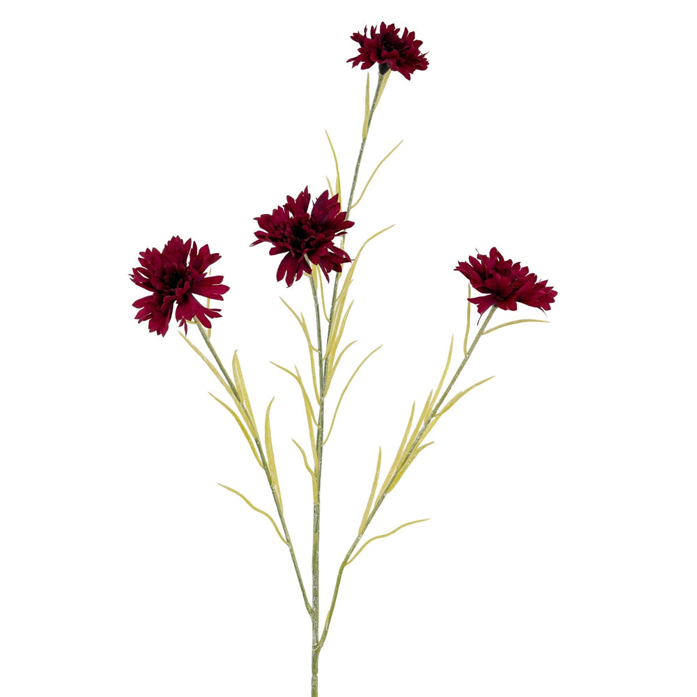 Burgundy Cornflower Stem - Canwell Interiors Limited - Hills