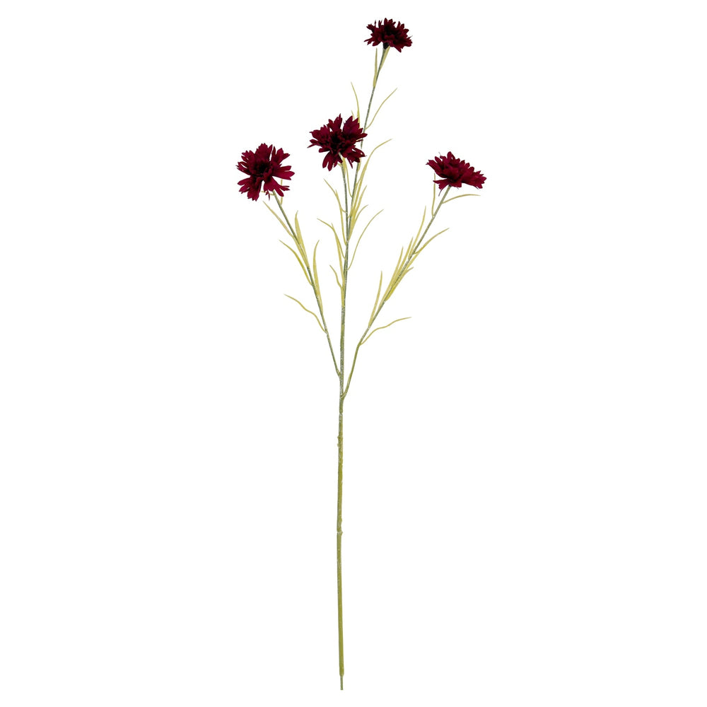 Burgundy Cornflower Stem - Canwell Interiors Limited - Hills