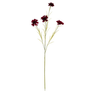 Burgundy Cornflower Stem - Canwell Interiors Limited - Hills