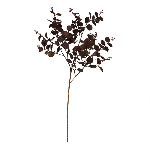 Burgundy Eucalyptus Bunch - Canwell Interiors Limited - Hills