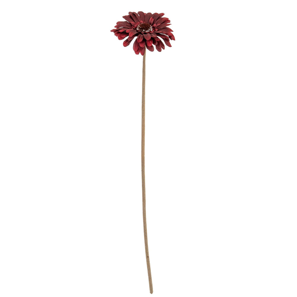 Burgundy Gerbera Stem - Canwell Interiors Limited - Hills