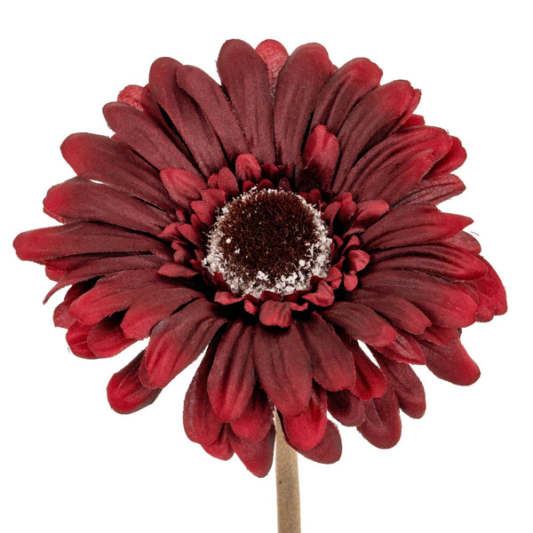 Burgundy Gerbera Stem - Canwell Interiors Limited - Hills