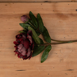Burgundy Peony Rose - Canwell Interiors Limited - Hills